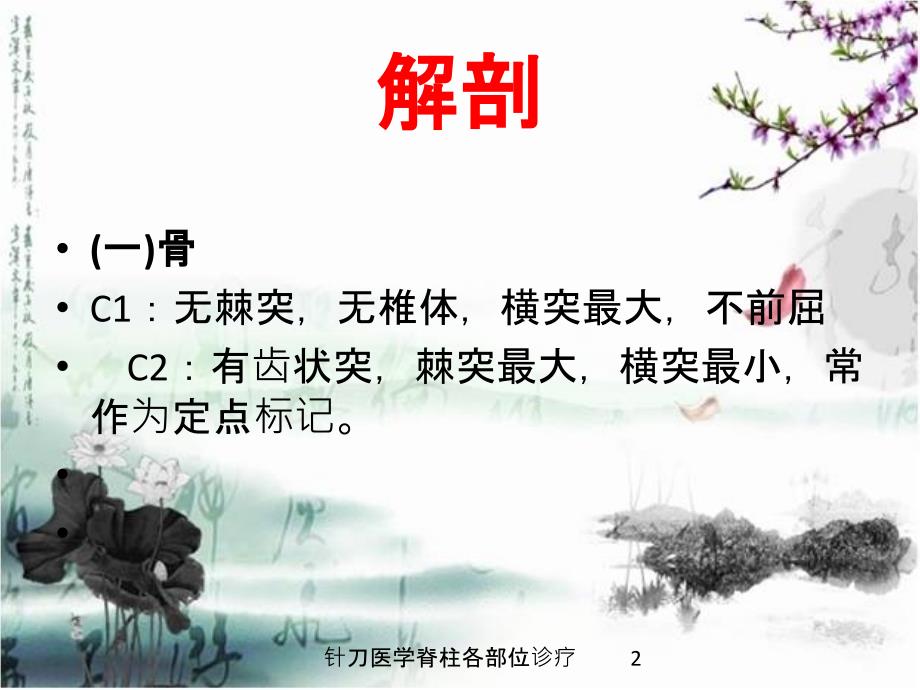 医学医疗-针刀医学脊柱各部位诊疗培训课件_第2页