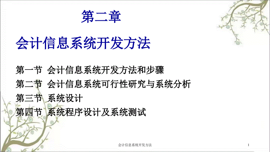 会计信息系统开发方法课件_第1页