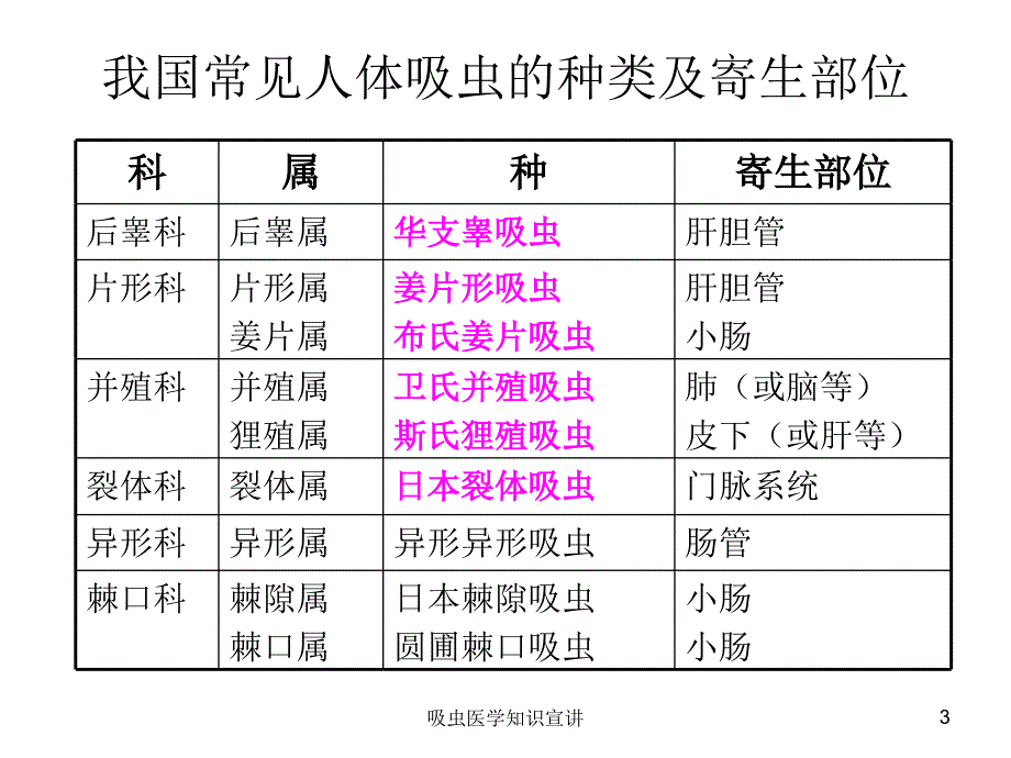 吸虫医学知识宣讲培训课件_第3页