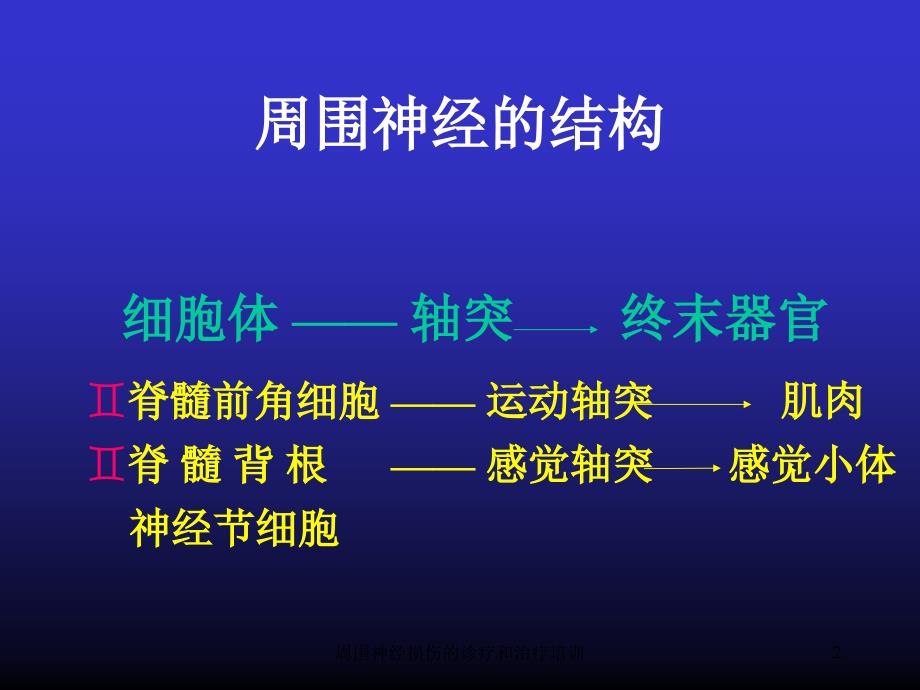 周围神经损伤的诊疗和治疗培训培训课件_第2页