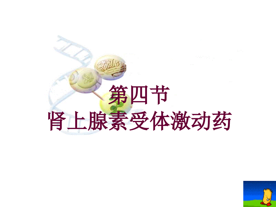 《传出神经系统药》ppt课件_第1页