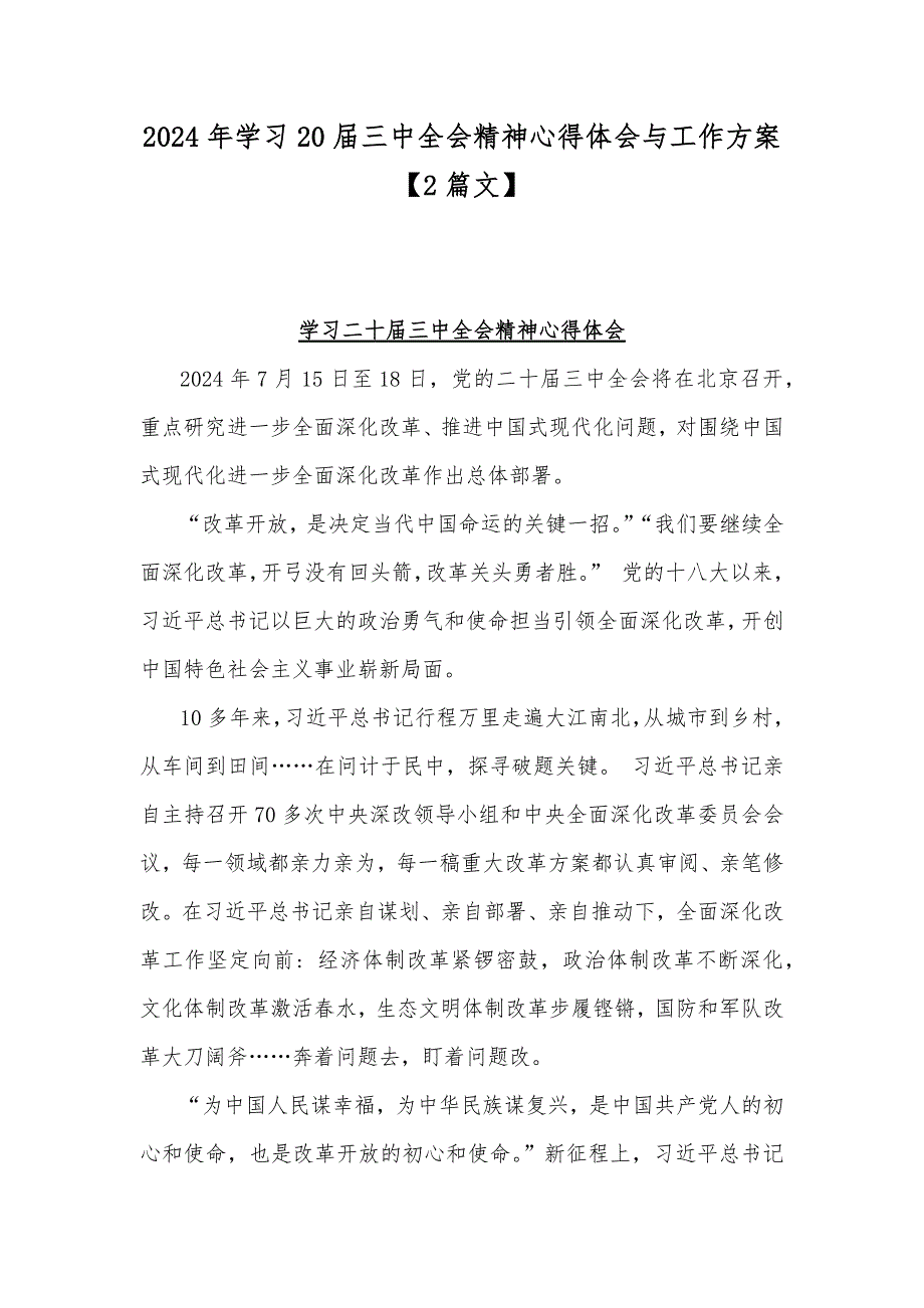 2024年学习20届三中全会精神心得体会与工作方案【2篇文】_第1页