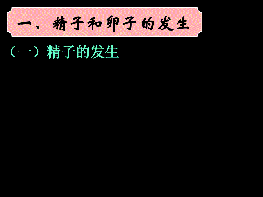 081224高二生物体内受精和早期胚胎发育课件_第3页