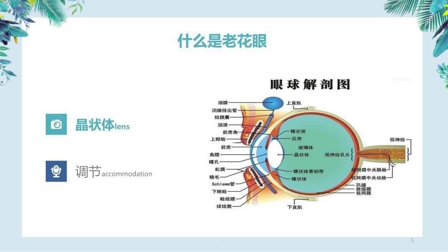 正确认识老花眼ppt课件.ppt_第5页